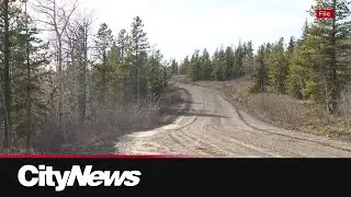 Alberta Forestry Minister heads to Abu Dhabi amidst backlash over wildlife management policy changes
