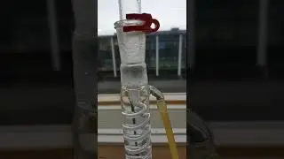 Lavender essential oil extraction by vertical steam distillation