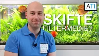 Hvor ofte skal filtermedie skiftes? - Begynder guide