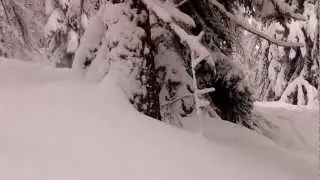 VID-20130202-00002
