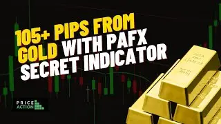 105+ Pips From Gold With PAFX Secret Indicator | Best Forex Indicator