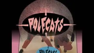 The Polecats - All Night Long(Mercury U.K. 1981)