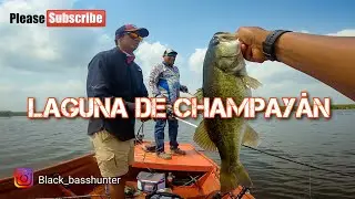 Tamaulipas, PARAÍSO para la PESCA DEPORTIVA... Pescando  en LAGUNA de CHAMPAYÁN / Lobinas en lago.