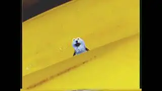Banana & Puppet