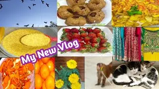 My first vlog 2022// Urdu vlogs // Saima vlogs fun