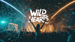 VerseVerse - Wild Hearts
