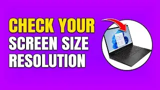 How To Check Screen Size on Laptop (Monitor & Resolution)