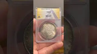 1885 MS63 ANACS Toned Morgan Dollar! #viralvideo #coin #collection #money #numismatics #rarecoins