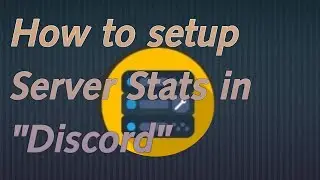 How to setup Server Stats in "Discord"