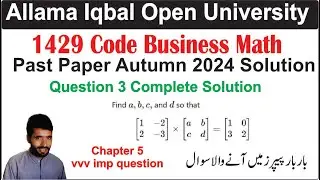 1429 Code Past Paper Autumn 2024 Question 3 Solution | 1429 Code Business Math Solved Paper 2024