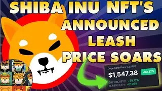 Шиба-ину выпускает 10 000 NFT-токенов Shiboshi | Цена на поводок резко растёт