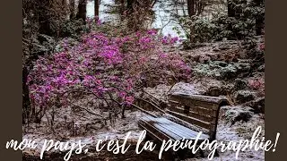 Exercice PRATIQUE de RETOUCHE photo | PEINTOGRAPHIE