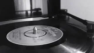 Zeki Müren - İyi Gün Dostusun Sen (Orijinal Plak Kaydı)