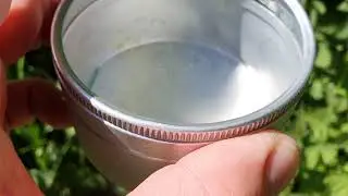 Steve discovers and rescues some Small Tortoiseshells caterpillars from the mowers!
