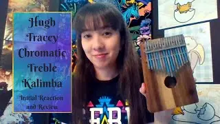 Hugh Tracey Chromatic Treble Kalimba - Initial Reaction and Review