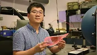 Horticulture Luminescent Solar Concentrators