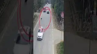 Dog pulls surprise move &mdash; car swerves like it's in an action movie! 🐶💨🎬 #truck #car #carfails