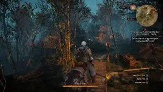 The Witcher 3: Wild Hunt &ndash; Complete Edition|Mastercrafted ursine gear