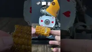 Cutting Experiment With Corn