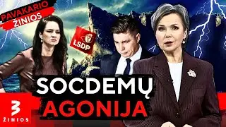 Socdemų lyderis prabilo apie „dugną“: partija žlunga? • TV3 žinios