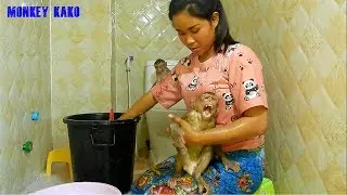 Fantastic Monkey | Mom Taking Bath for Monkey Kako With Monkey Luna | Monkey Family Take Bath