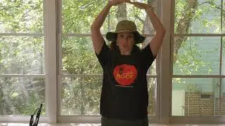 Little Birdie Song