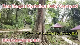 Silent Journey to Tana Toraja&rsquo;s Mysterious Baby Graveyard &ndash; Unique Burial Traditions