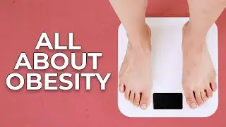 How to Treat Obesity | The TMI Show