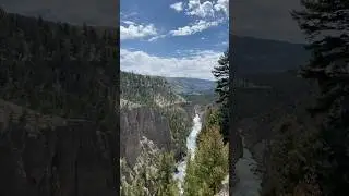 Incredible Yellowstone River #yellowstonenationalpark #yellowstone #yellowstoneriver #wyoming #usa