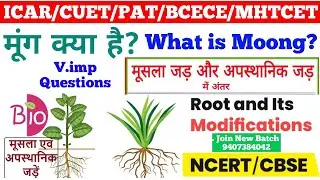 ICAR/CUET/PAT/MHTCET/BCECE 2023 exam | ICAR 2023 syllabus Based Preparation | How to crack ICAR 2023