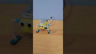 Walking Robot with Single DC Motor