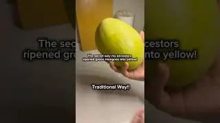 How My Ancestors Ripened Green Mangoes into Yellow | Traditional Method 🍋🥭 #Shorts #mango #asmr