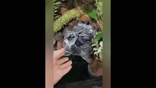 Exo terra paludarium pro build 45x45x90