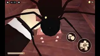 Dors. Videosu