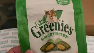 Unboxing Chewy | Cat Goody Box from Grandma