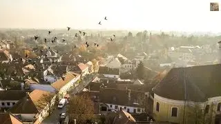 Trafalgar Travel - Optional Experiences - Szentendre, Hungary