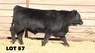 Tannas Lot 57HD web
