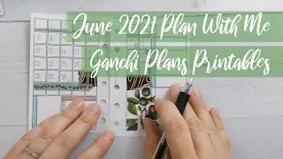 June 2021 Pocket Plan With Me