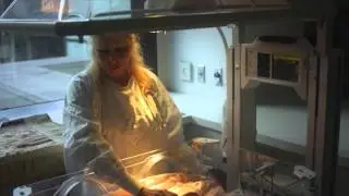 Experience Providence Foundation