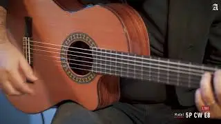 5P CW E8 Guitarra Alhambra | Borja Montenegro, 