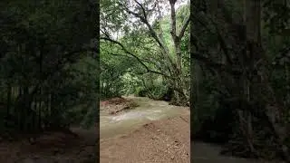Amazing view in a trail of Bangladesh Sitakunda || বাংলাদেশের কোনো এক ঝিরিপথে #travel #shorts