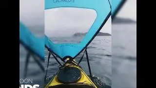 Cachalote Monsoon Winds