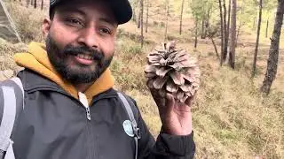 Barog unplanned ride#hp #travel #travelvlog #barog #tour 