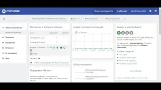 Настройка веб-аналитике Matomo Analytics для WordPress