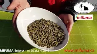 MIFUMA Entero - pro ml&aacute;ďata kr&aacute;l&iacute;ků v kritick&eacute; f&aacute;zi prvn&iacute;ho př&iacute;j&iacute;m&aacute;n&iacute; #Mifuma.CZ