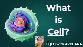 👉 What Is a Cell?🔬|Microscope Parts & How to Use It |#QEDwithArchana #exampreparation#biologyshorts 