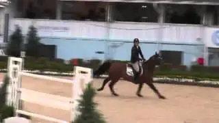 Video of MULLAGHDRIN RADO ridden by ALEX GRANATO from ShowNet!