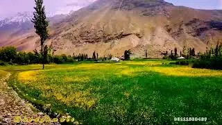 Natural beauty of Gulaghmuli and Handarap Valley Must Watch