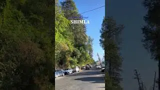Shimla's Hidden Beauty You Must See! ⛰️☁️ #shimla #sassyseung #travel #viral #shorts