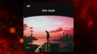 BLACK MUSIC - TONY SNAKE